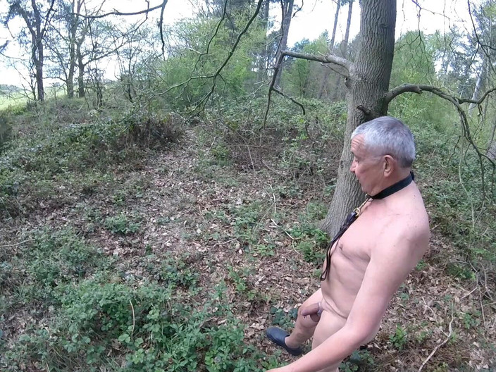 Andy: Plimbare 21 2025