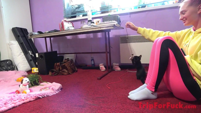 Sky Angel: Asian angel 244