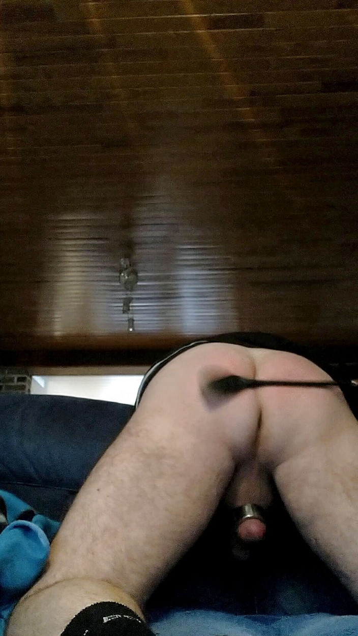 I'm a bitch: इस कुतिया को अच्छी पिटाई की जरूरत है