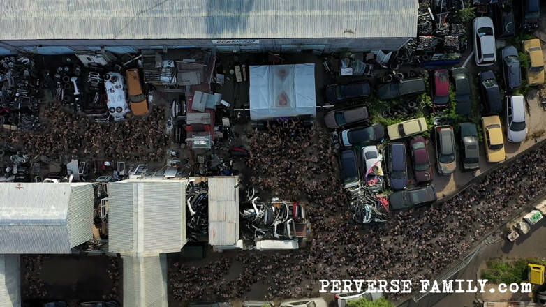 Perverse Family: Perverse Family 52.4 (season 4): Punk Hardcore Porn