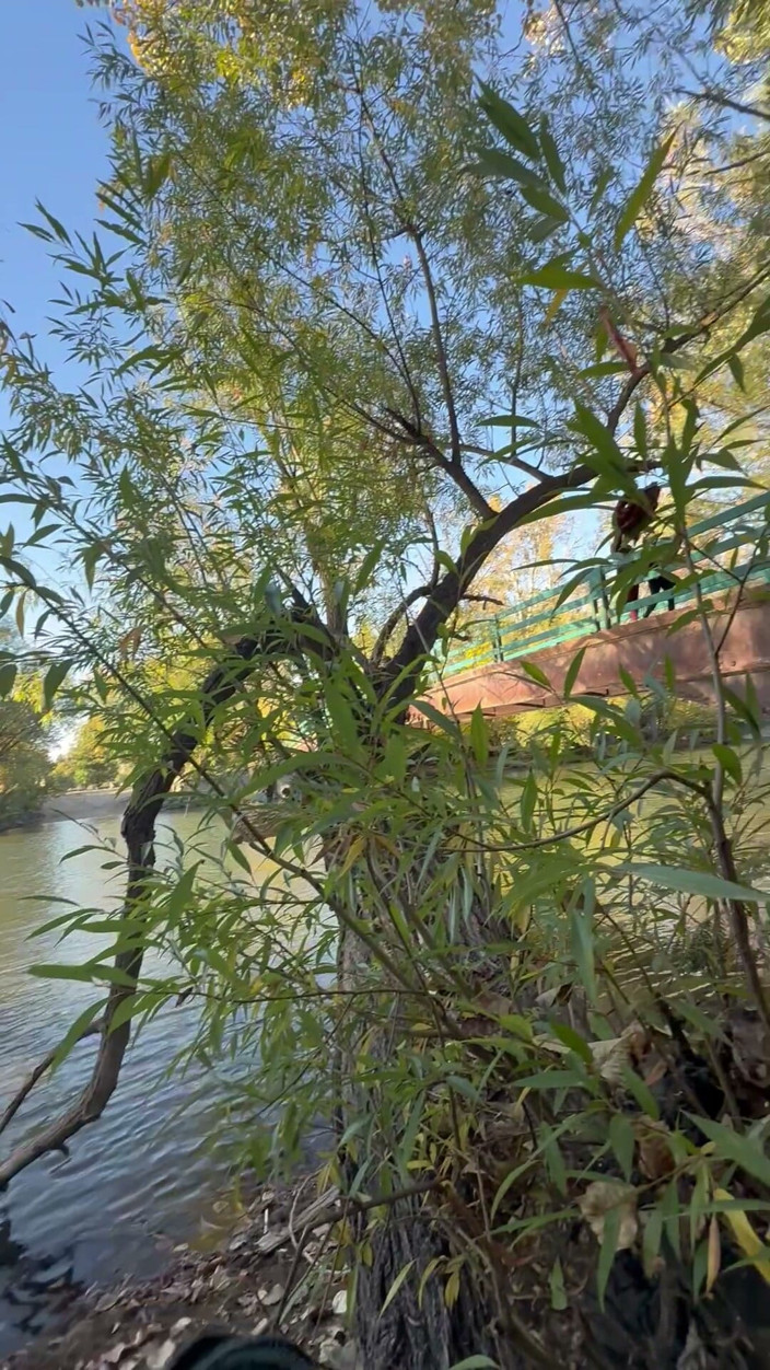 unemployedrobot: Veřejná masturbace Boise Idaho Greenbelt stezka na kole
