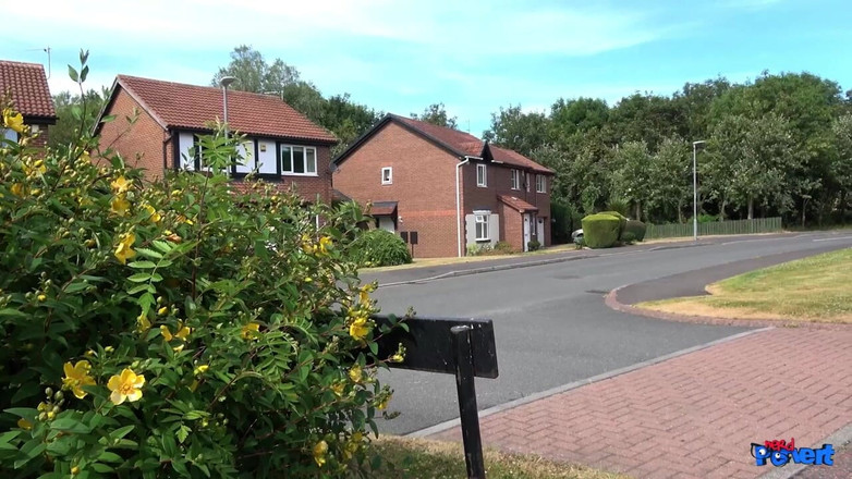 Nerd Pervert: Carli hudson - pengen jilat memek dan stres