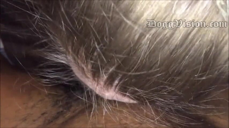 DoggVision: Hairy asshole POV and facial
