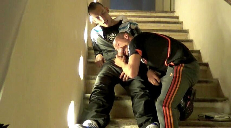 Sneaker gay: Gay fondo olor y oler zapatillas