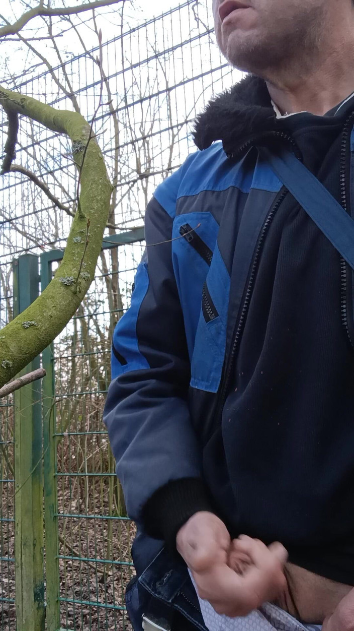 Hugohorn: Arrapata nel cespuglio