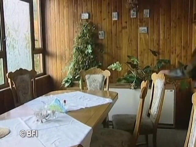 Porn mansion: Vacation fuck