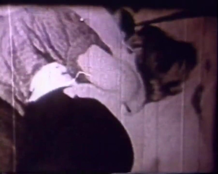Vintage Usa: Original vintage sex scene - Hulahula Mexican!
