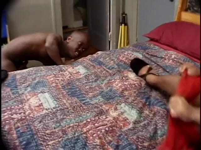 Cumming Soon: These midget freaks will do anything