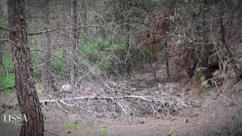 Lissa Brown: Chlapec mě šuká v lese - Červená Karkulka