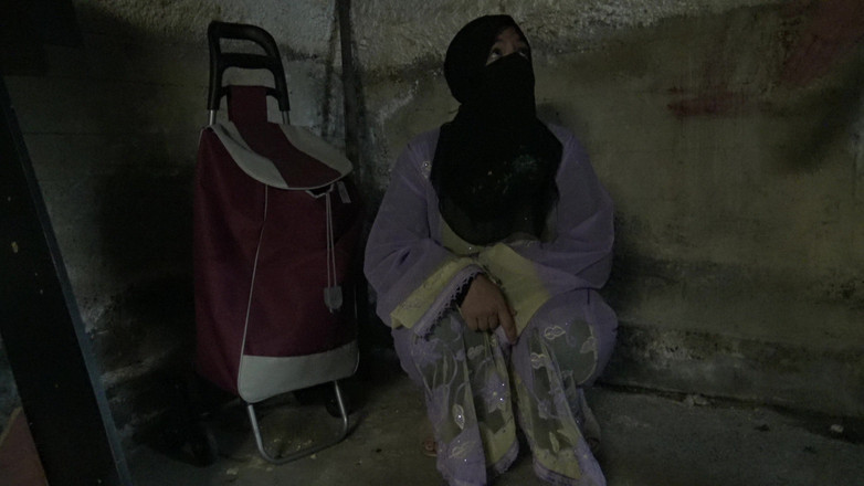 Souzan Halabi: シリア難民はドイツの変態とセックスをしています