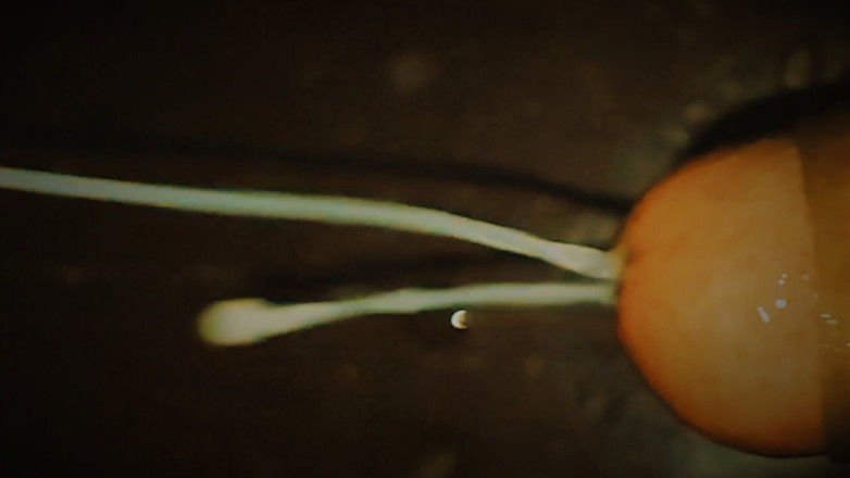 Sex art straight: oh, vado a venire dentro.. Dentro, profondamente dentro.. Aaaaahhh.. Arrivato.....