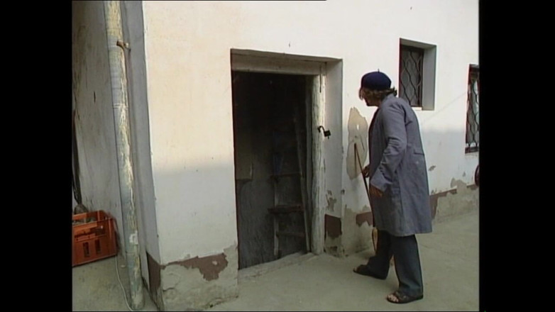 MMV films - The Original: Piękna seksowna blondynka mamuśka w dupę zerżnięta i spuszczona w...