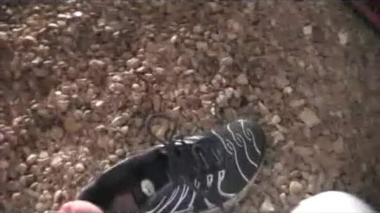 Sneaker gay: サリーの男の子のオナニーにスニーカー