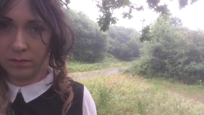 The Midnight Minx: The bird watching hive