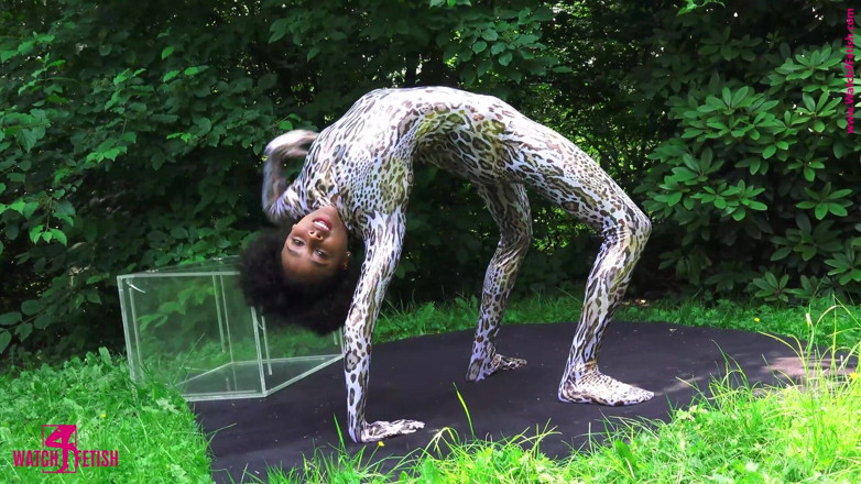 Gymnastic: Surprise in the Glass Box