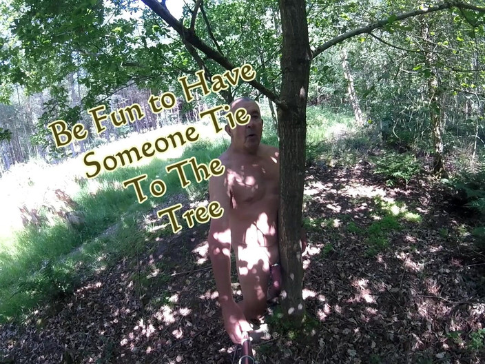 Andy: Yürüyüş 40 2025