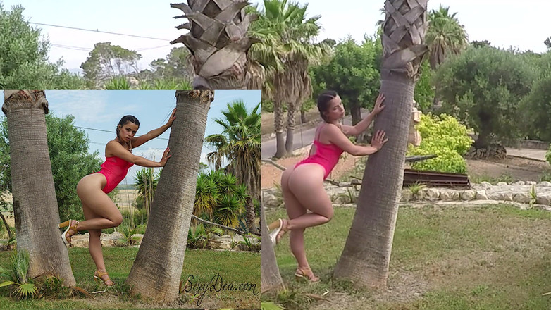 King of datass: Tiro rosa