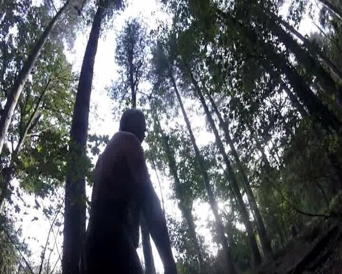 Andy: Частина 3, брудна гра в лісі