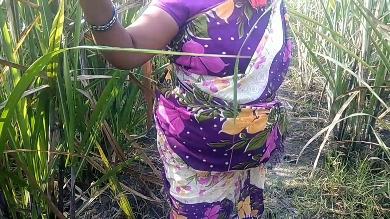 Priyanka314: Scena porno indiana nel giardino della canna da zucchero