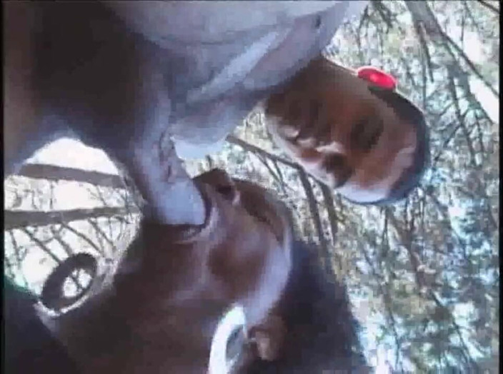 Shemale videos: Latino straight fuck a shemale mature cougar