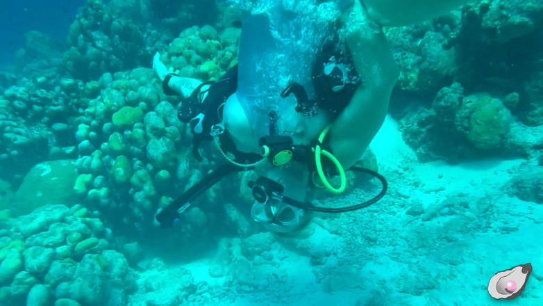 Mistress Pink Pearl: O samotě v Bonaire