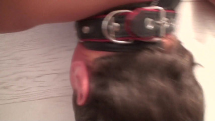 Femdom Sex: Cuckold slave humiliated and must lick the cum up from...