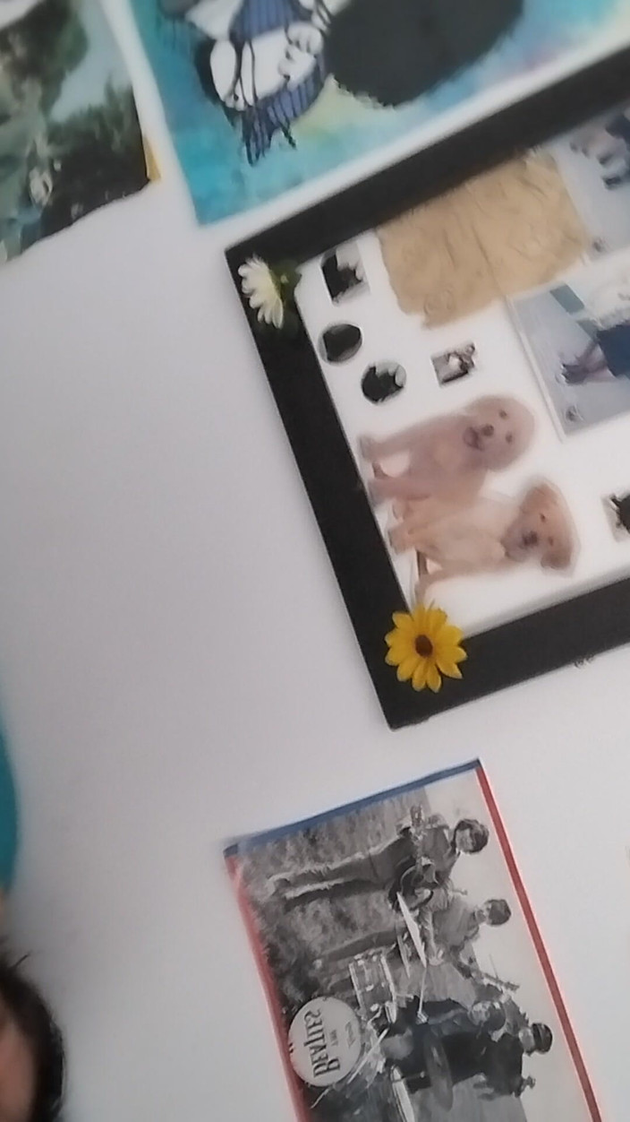 Nana Bela: Pemeliharaan rambut tubuh