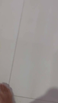 Compartí cama con mi madrastra mientras estamos en la habitación del hotel