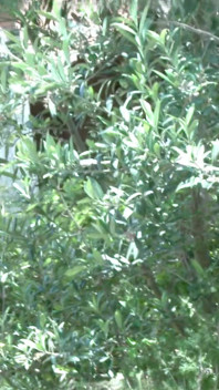 Tania Kiss: a Little Pee in Nature for the Young French Tania Kiss
