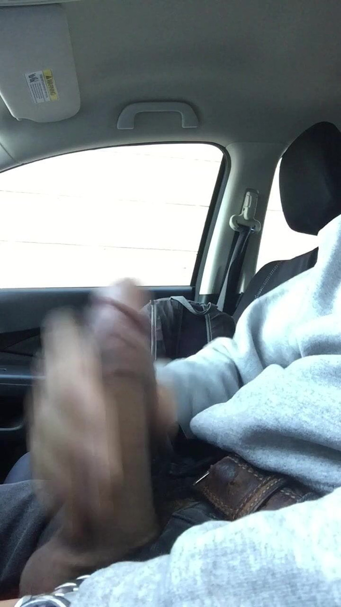 Capitanpuppy: Porra no meu carro