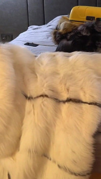 La plus grosse compilation d’voyages de fourrure ! Sexe avec un manteau de fourrure, costume de fourrure, fétiche de la fourrure