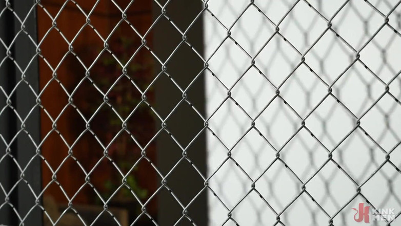 Taken rough: 好小老鼠：达文强壮和杰克沃特斯