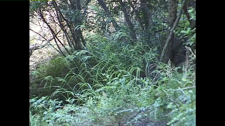 Heatwave Porn: Лесбянки, часть 1