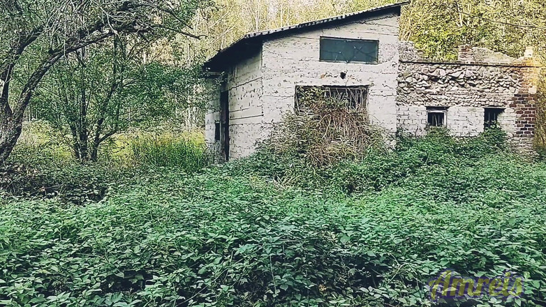 Amreis: Ha mostrato le sue palle e il sperma potente in...