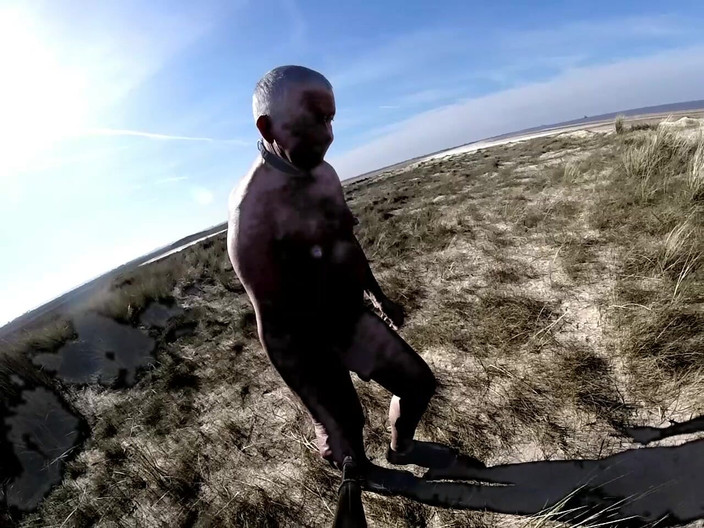 Andy: Camine en noviembre