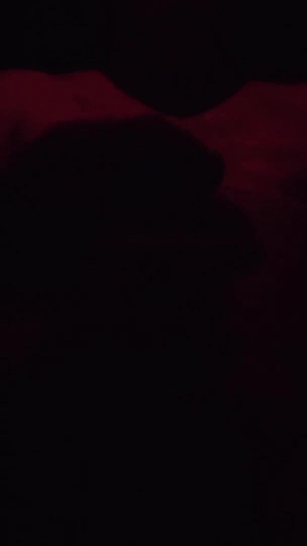 Incredible Dick: Jerking my big fat cock