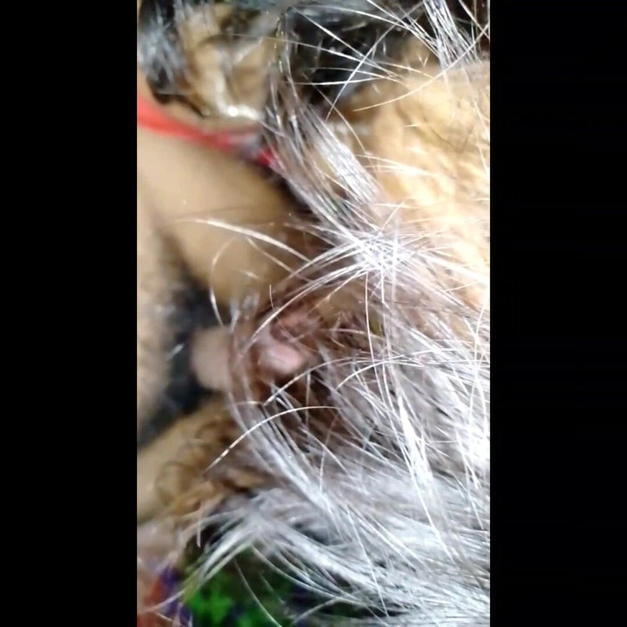 Uttar dinajpur: Mąż pieprzył swoją żonę Randy'ego w nocy po 2 latach