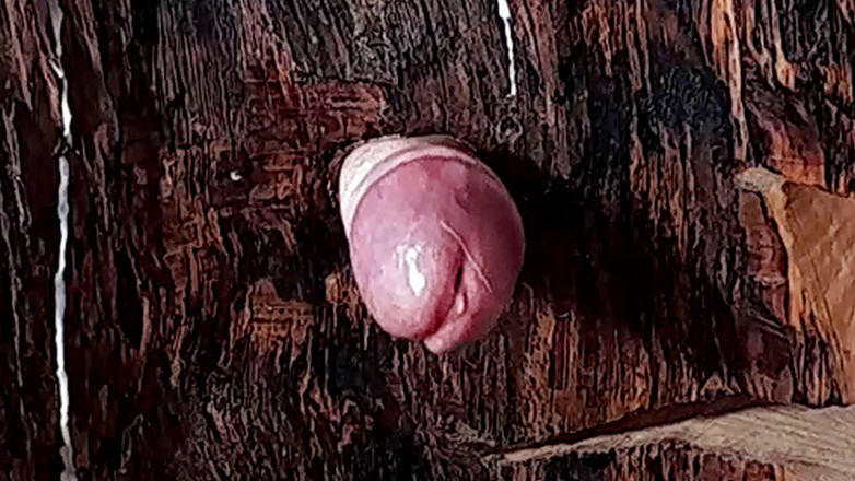 Master Drex: Świecznik do pieprzenia