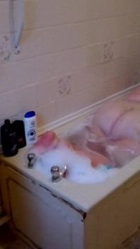 Sbbw cerca di fare un bagno, può adattarsi?