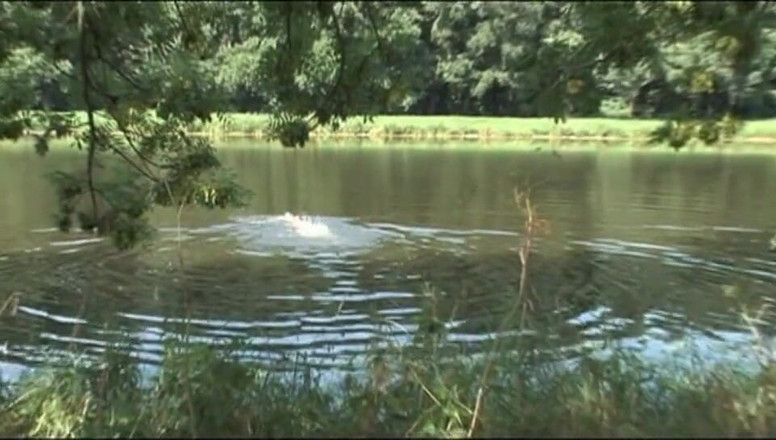 Out Sexxx: Sexiga stora bröst hårig fitta på den stora kuk på...