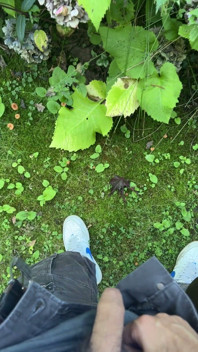 Golden Stream: Peeing in Paradise