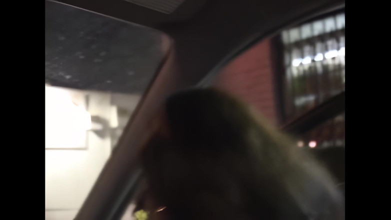 Little World: Misterul ghidează curiozitatea nenorociților