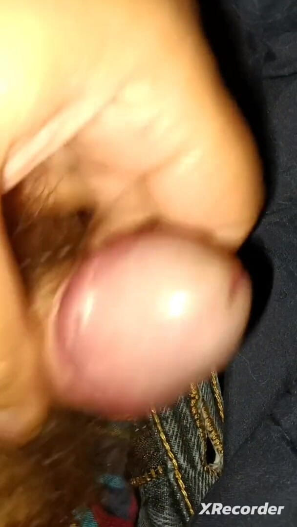 The Small Bull: Kleiner schwanz kommt.