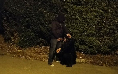 Toilet Mommy: Pengekstrakan pancutan mani di tempat letak kereta