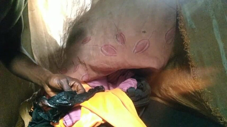 Bangcum8: Băiatul fute pizda gratuită și ejaculează foarte bine