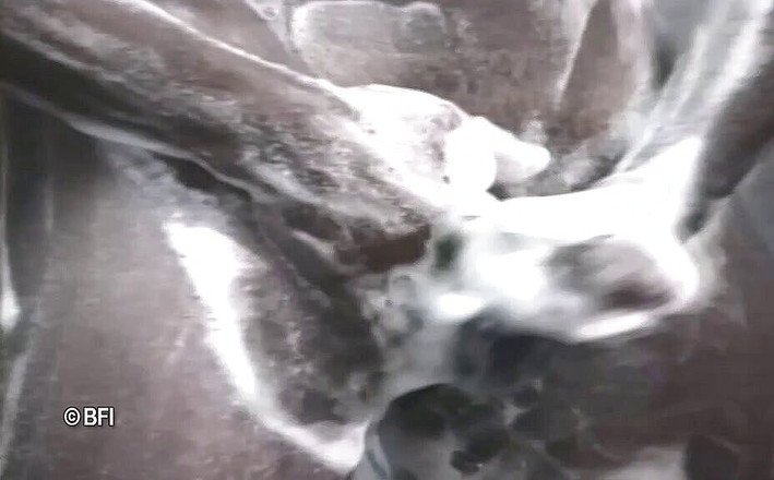 Just Boys: Stel bit - världens mediegrupp.