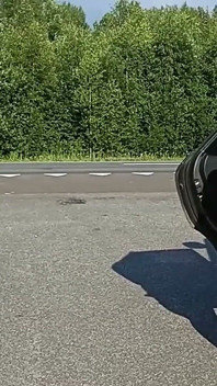 Mereka menggoda para pengemudi di jalan tol