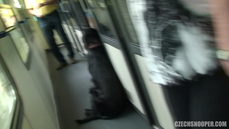 Czech Snooper: Czech snooper 7: train ride – young couple raw and on display