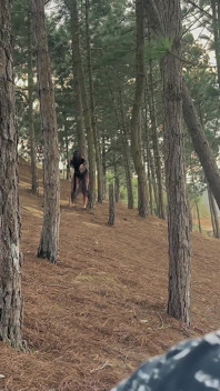 The Forest Witch Fucks a Defenseless Man