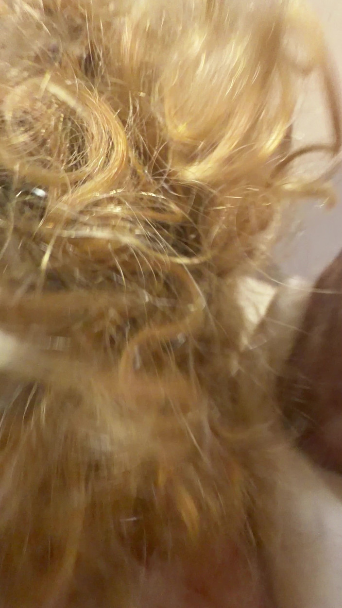 Alpha stud 4 u: Gefesselt mit den armen über dem kopf, dildo in ihr